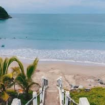 Playa con palmeras